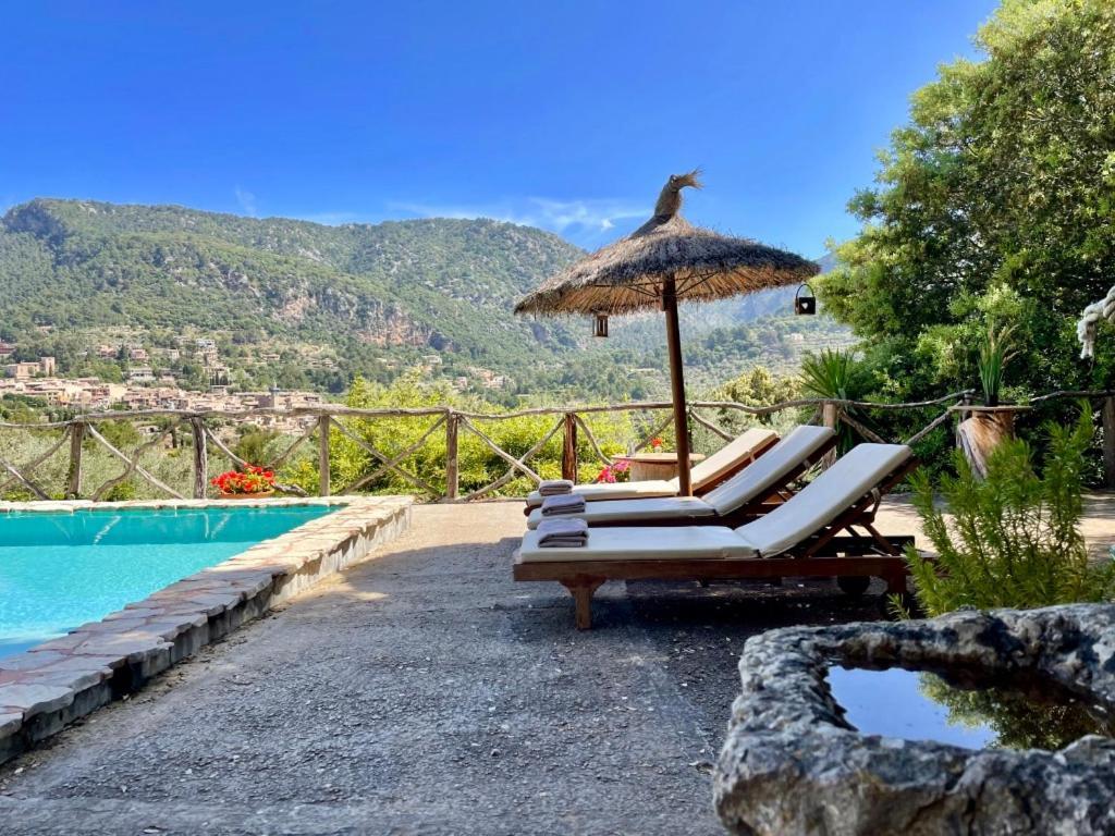 Fabulous Rustic Set On Mountain With Unique Views Willa *